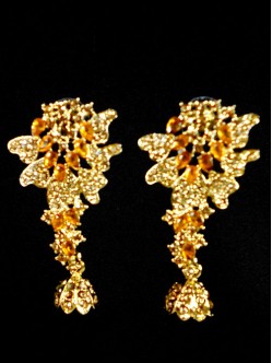 Fashion Earrings